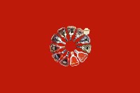 深圳市坪山区回收红酒